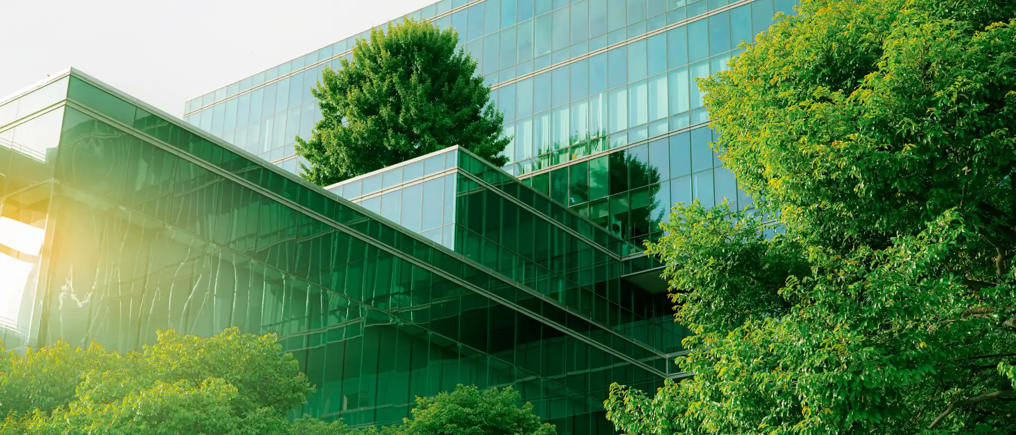 well sertifikası yeşil bina